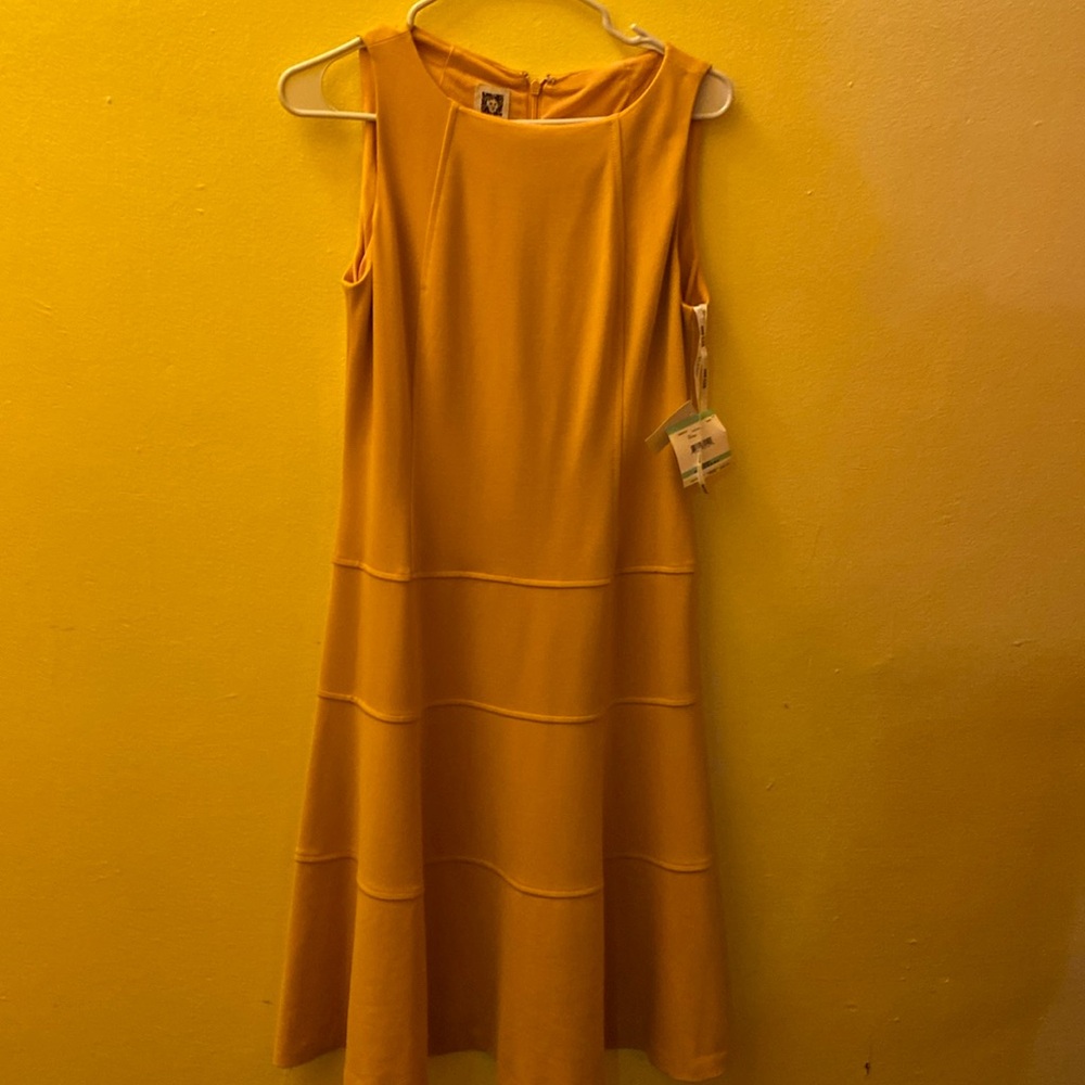Anne Klein dress